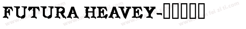 FUTURA HEAVEY字体转换